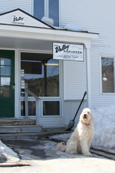 RS_Roxy_32515_1032515_01