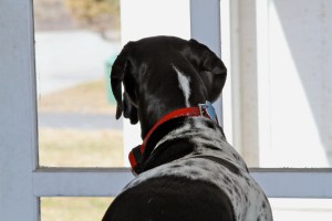 Rs_PearlBailey041315_lisaloomis01