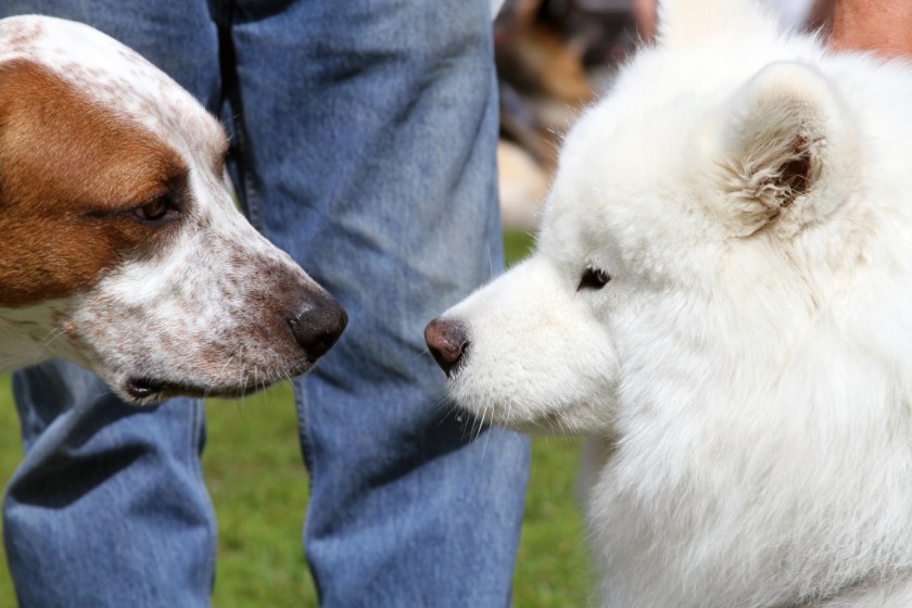 Meet & Greet at the Waitsfield Farmers' Market