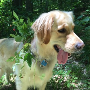 Lucy, wearing a foliage and berries-on-the-vine wrap of her own design 
