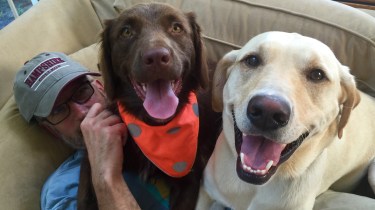 Hop on Pop! Charlie and Linus suggesting that it's time for a walk.