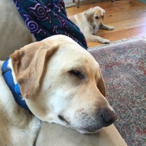 RS_Linus_couchpillow