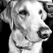 RS_Lisadavis_Huck_IMG_2066