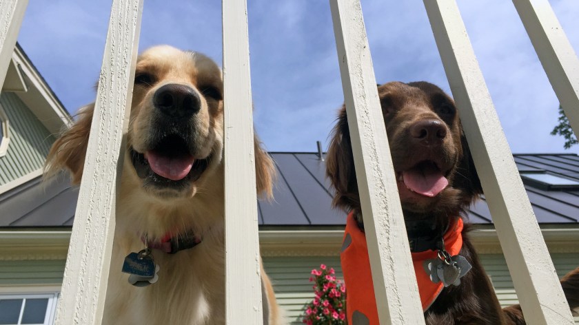 On deck: Lucy & Charlie Brown