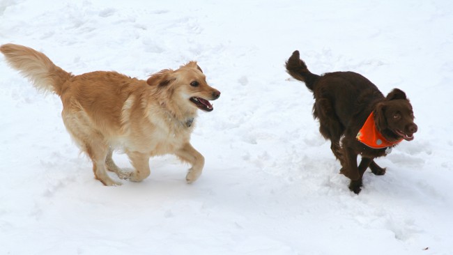 Charlie Brown started it. Lucy did not catch him...