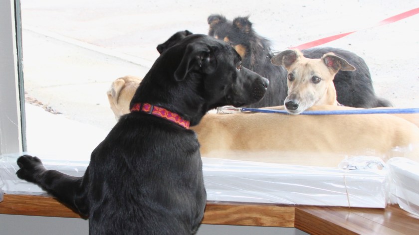 Merriam meets the gang from the next office