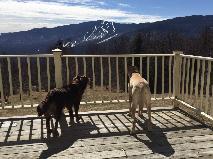 I think the party's over there...