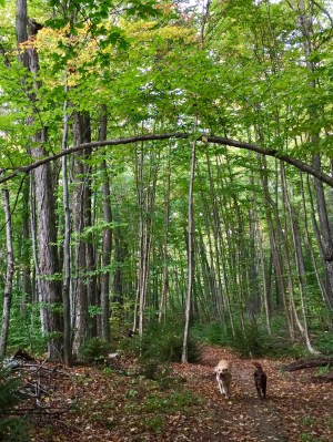 On the trail with Lucy and Charlie Brown.