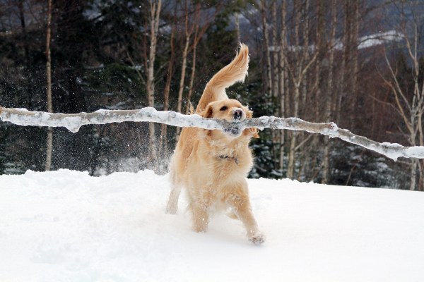 Lucy brings a big gift. Size matters...