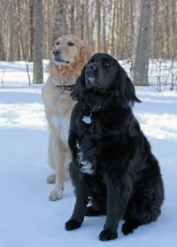 RS_BellaLucy_franolsen_4317_IMG_1553