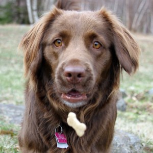 RS_Charlie eyes on it