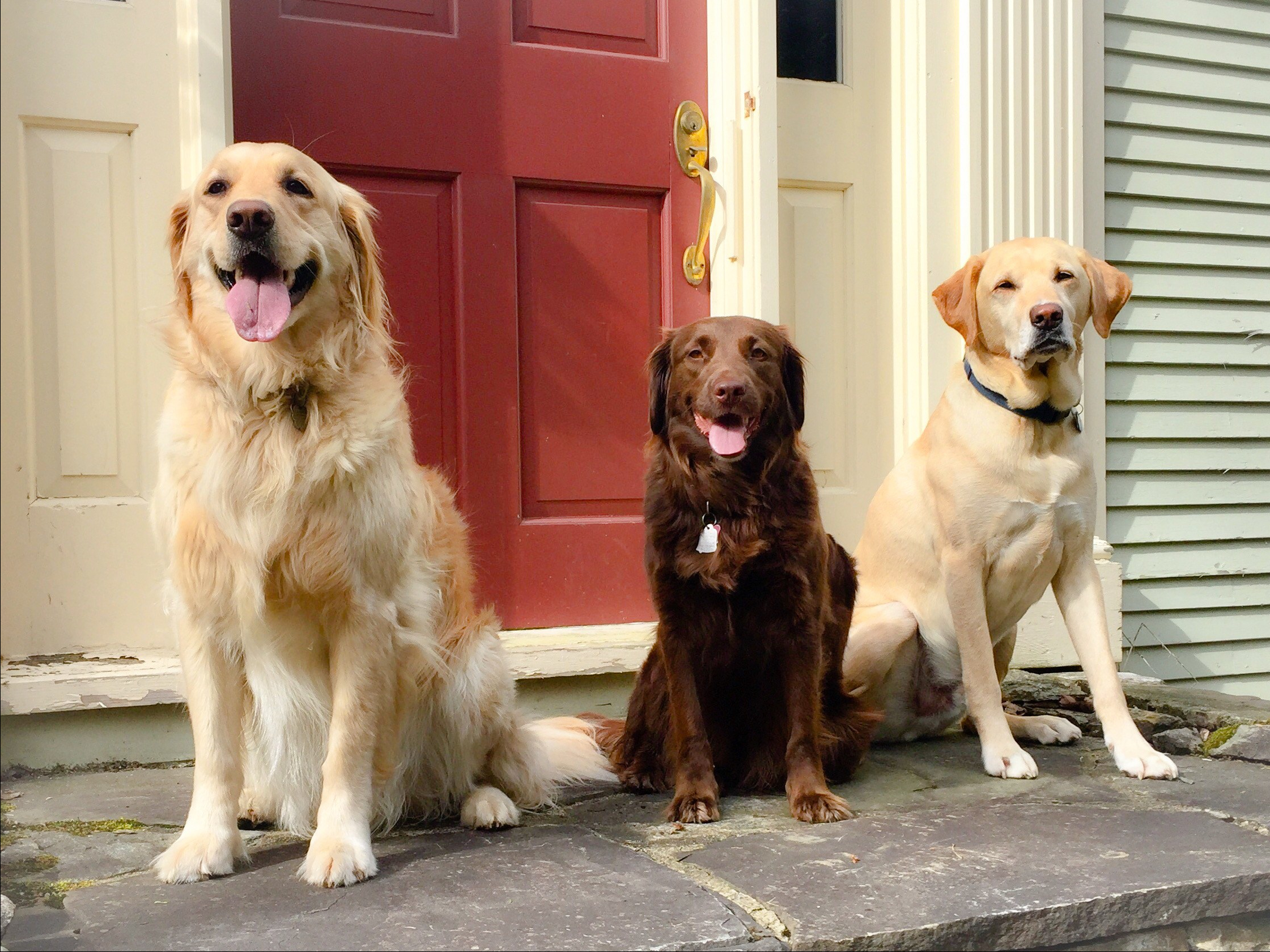 RS_welcoming committee 2017