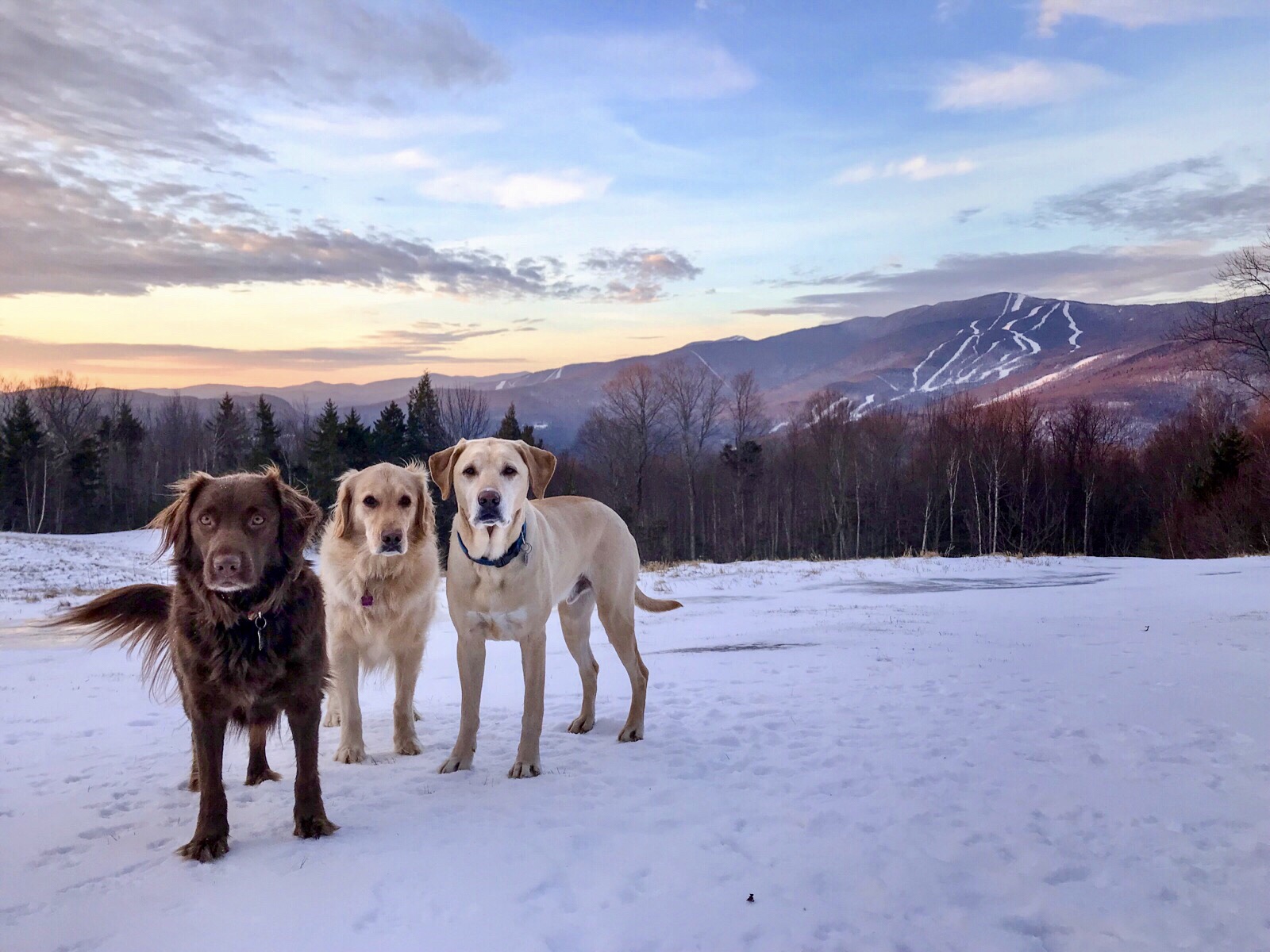 Charlie Brown, Lucy, and Linus at sunrise.